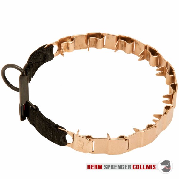 "The Golden Boy" Herm Sprenger Nek Tech Sport Curogan Prong Halsband