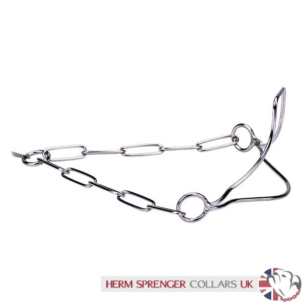 "Heads-Up" Stainless Steel Herm Sprenger Show Collar for Dog with Stand