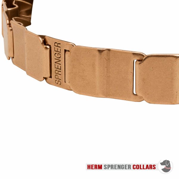 "The Golden Boy" Herm Sprenger Nek Tech Sport Curogan Prong Halsband