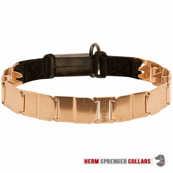 "The Golden Boy" Herm Sprenger Nek Tech Sport Curogan Prong Halsband