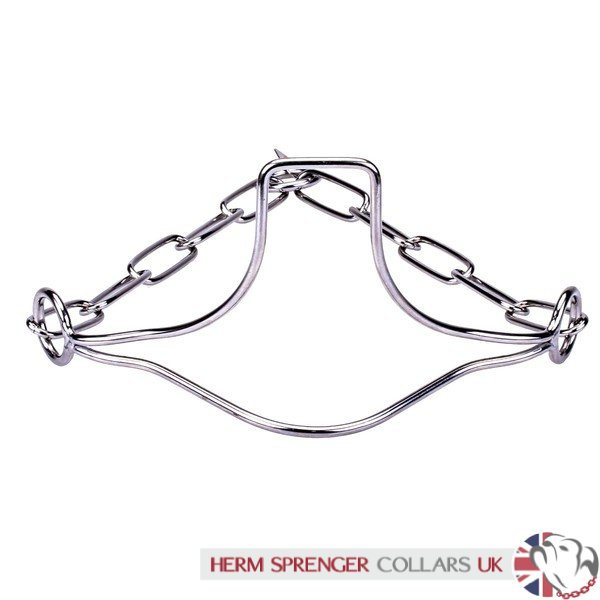 "Heads-Up" Stainless Steel Herm Sprenger Show Collar for Dog with Stand