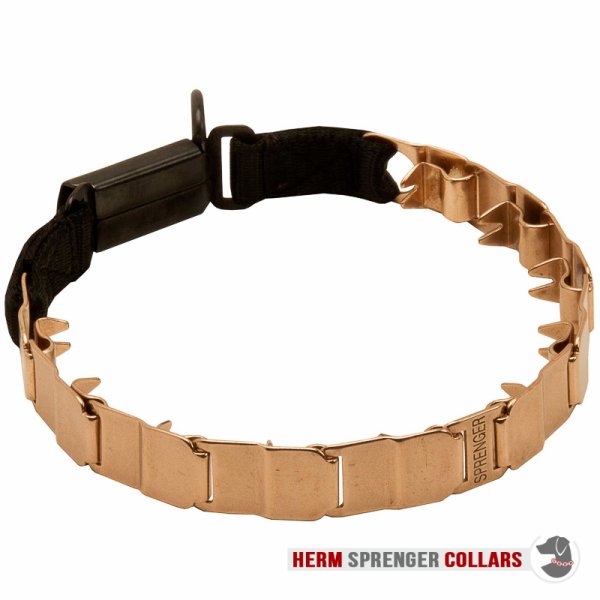 "The Golden Boy" Herm Sprenger Nek Tech Sport Curogan Prong Halsband