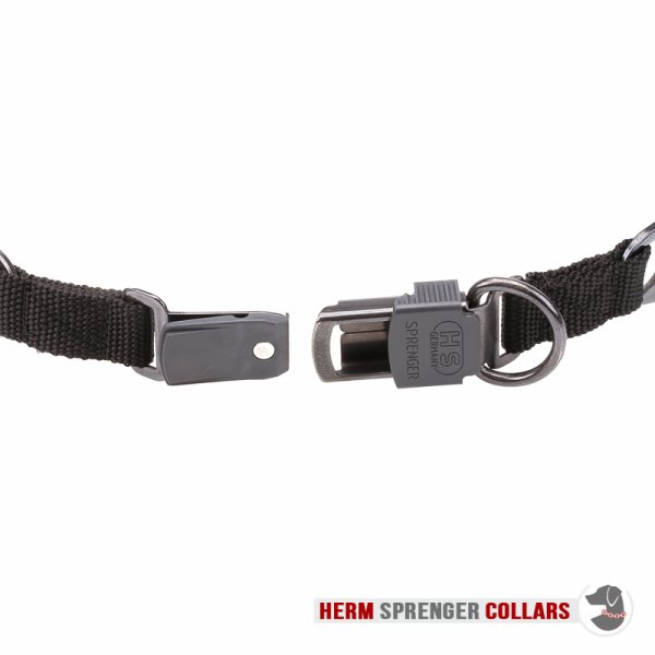 "Black Force" Herm Sprenger Zwart Roestvrij Staal Prikband Halsband met Click-Lock Gesp 4 mm