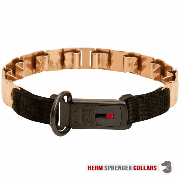 "The Golden Boy" Herm Sprenger Nek Tech Sport Curogan Prong Halsband