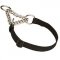"Synthetic Friend" Nylon and Chain Dog Collar