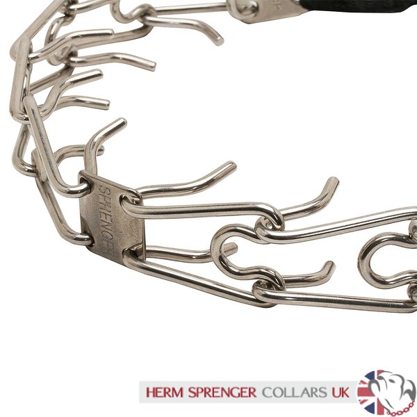 "Taming Loop" 3.2 mm Restvrij Staal Hond Prikband Halsband met Gesp en Nylon Lus