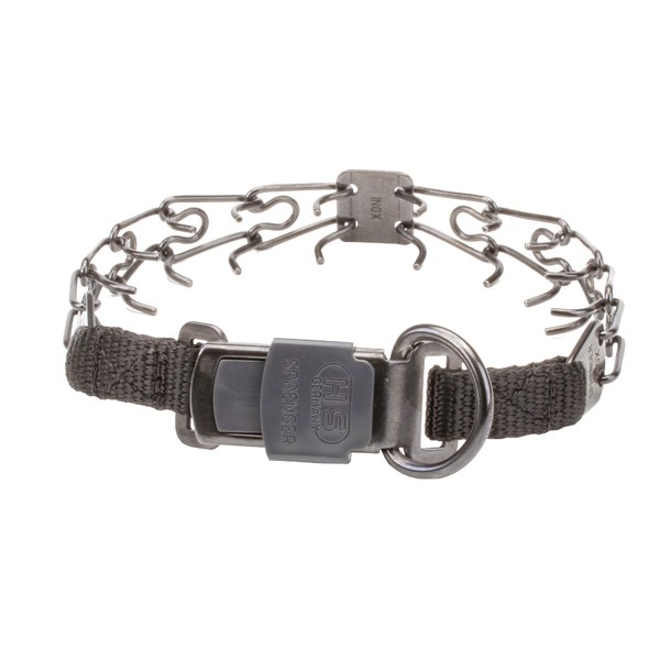 Prong collar with buckle hotsell