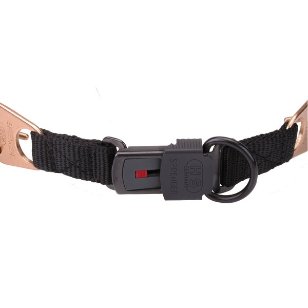 "Aggression Buster" 4 mm Curogan Herm Sprenger Slipketting Goud Halsband met Beveiliging Gesp