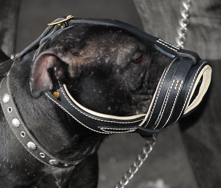 Pitbull Terrier Royal Nappa Leather Dog Muzzle